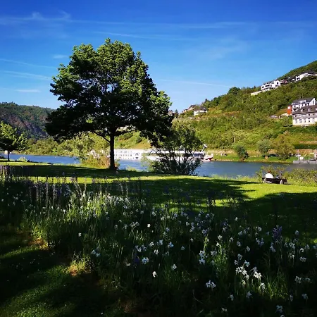 Ferienhaus Moselgruen Cochem