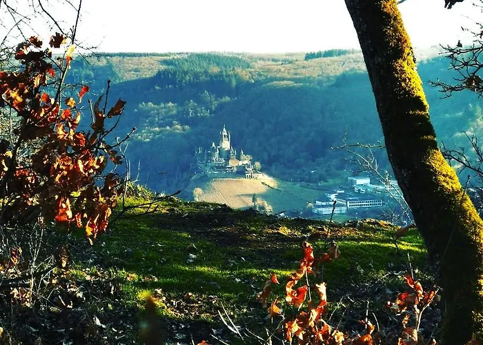 Ferienhaus Moselgruen *